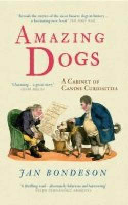 Amazing Dogs(English, Paperback, Bondeson Jan)