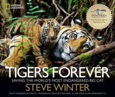 Tigers Forever(English, Hardcover, Winter Steve)