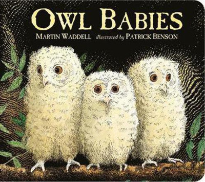 Owl Babies(English, Board book, Waddell Martin)