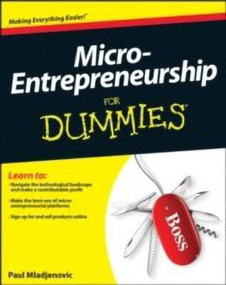 Micro-Entrepreneurship For Dummies(English, Paperback, Mladjenovic Paul)