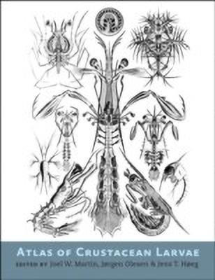 Atlas of Crustacean Larvae(English, Hardcover, unknown)