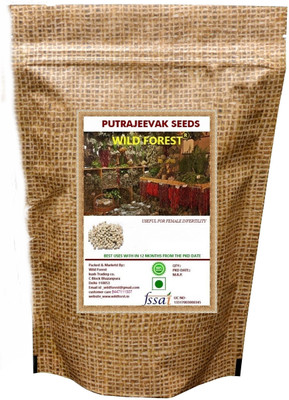WILD FOREST Putrajeevak Seed, Putrajivak Beej Seed(50 per packet)