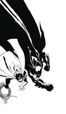 Batman Noir Dark Victory(English, Hardcover, Loeb Jeph)