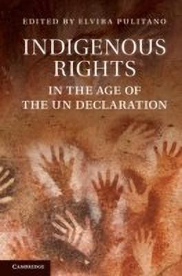 Indigenous Rights in the Age of the UN Declaration(English, Hardcover, unknown)