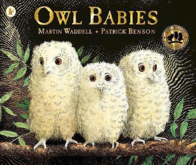 Owl Babies(English, Paperback, Waddell Martin)