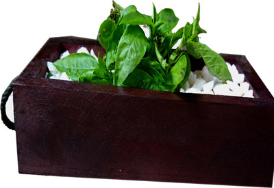 Comfort planters Plant Container Set(Wood)