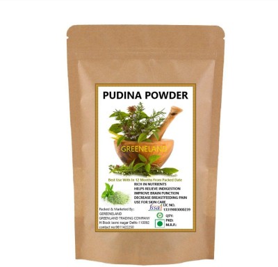 GREENELAND PUDINA (MINT) POWDER 200 GM(200 g)