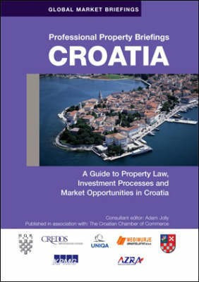 Professional Property Briefings(English, Electronic book text, unknown)