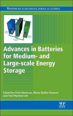 Advances in Batteries for Medium- And Large- Scale Energy Storage(English, Electronic book text, unknown)