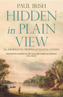 Hidden in Plain View(English, Electronic book text, Irish Paul)