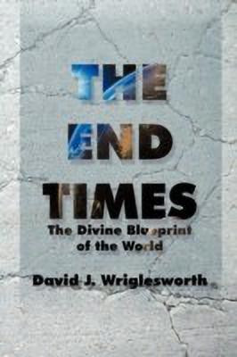 The End Times(English, Paperback, Wriglesworth David J)