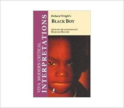 Interpretations:Black Boy(English, Paperback, Bloom Harold)