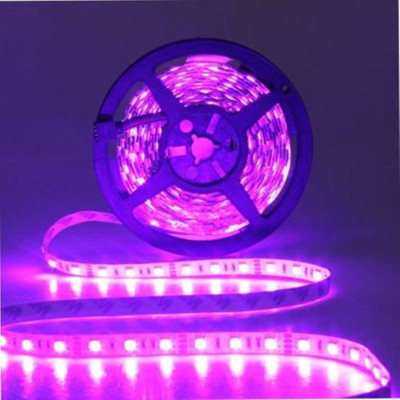 ESP 300 LEDs 4.98 m Pink Steady Strip Rice Lights(Pack of 1)