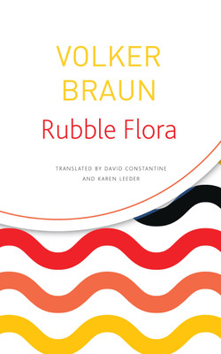 Rubble Flora(English, Paperback, Braun Volker)