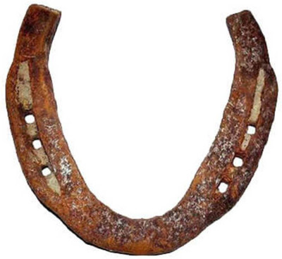 Raviour Lifestyle Horse Shoe Ring