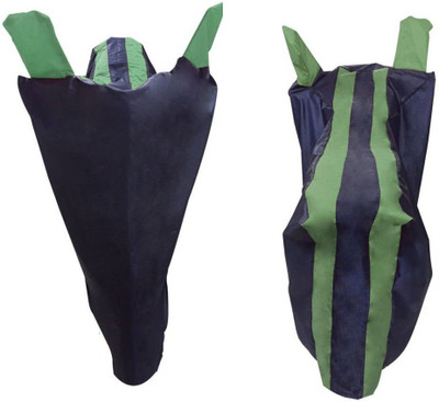 Auto Hub Two Wheeler Cover for Bajaj(Discover 100 DTS-i, Black, Green)