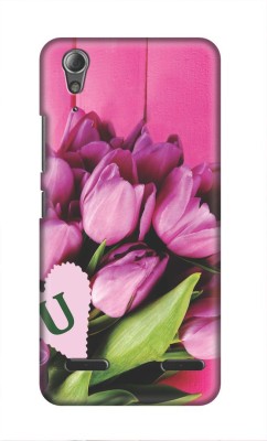 My Swag Back Cover for Lenovo A6000(Multicolor, Hard Case, Pack of: 1)