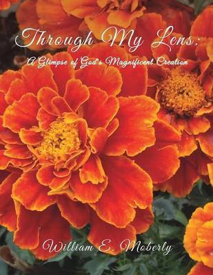 Through My Lens(English, Paperback, Moberly William E)