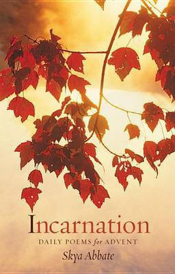 Incarnation(English, Paperback, Abbate Skya)