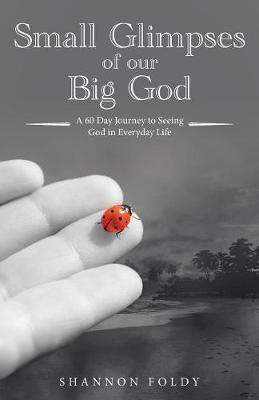 Small Glimpses of Our Big God(English, Paperback, Foldy Shannon)