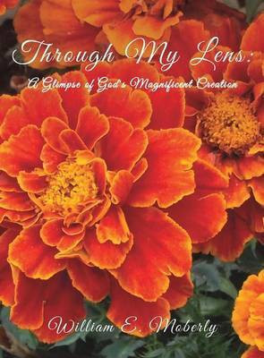 Through My Lens(English, Hardcover, Moberly William E)