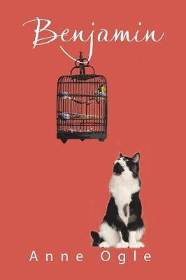 Benjamin(English, Paperback, Ogle Anne)
