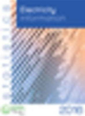 Electricity Information 2016(English, Electronic book text, Ocde Oecd)
