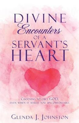 Divine Encounters of a Servant's Heart(English, Paperback, Johnston Glenda J)