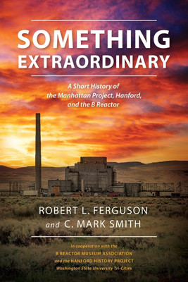 Something Extraordinary(English, Paperback, Ferguson Robert L)
