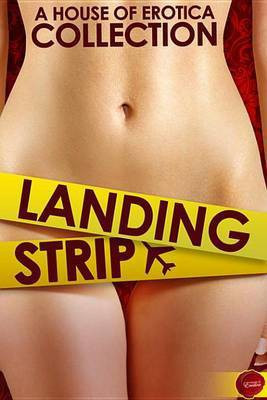 Landing Strip(English, Electronic book text, Pim Erin)