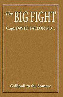 Big Fight(English, Paperback, Fallon David)
