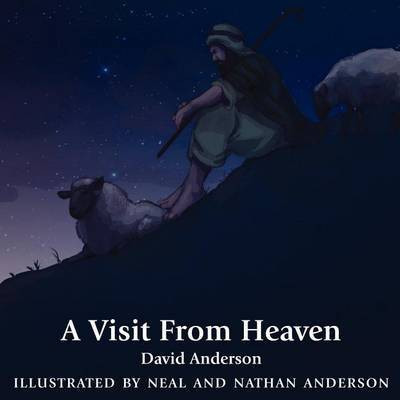 A Visit From Heaven(English, Paperback, Anderson David Dr)