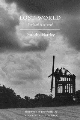 Lost World(English, Paperback, Hartley Dorothy)