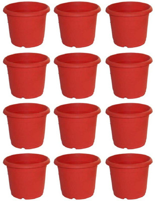 Synergy Plast Pack of 12, Decorative and Durable Quality Plant Container Set(Pack of 12, Plastic)