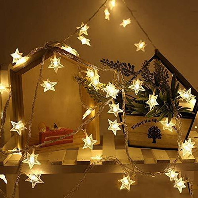 Lilypin 20 LEDs 3.99 m White Steady Star Rice Lights(Pack of 1)