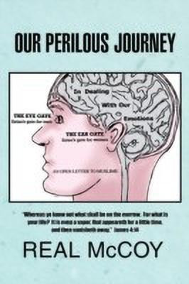 Our Perilous Journey(English, Paperback, McCoy Real)