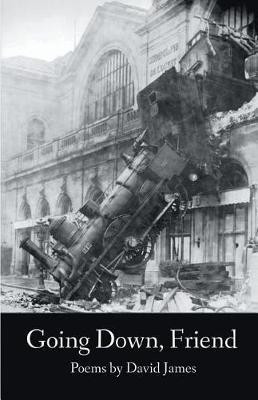 Going Down, Friend(English, Paperback, James David Dr)