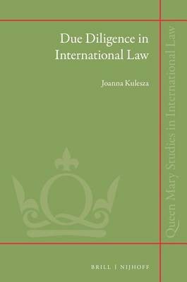 Due Diligence in International Law(English, Electronic book text, Kulesza Joanna)