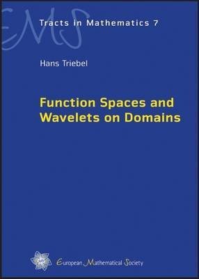 Function Spaces and Wavelets on Domains(English, Hardcover, Triebel Hans)