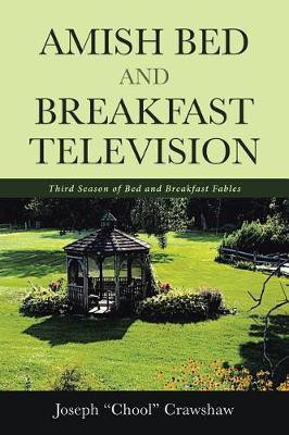 Amish Bed and Breakfast Television(English, Paperback, Crawshaw Joe)
