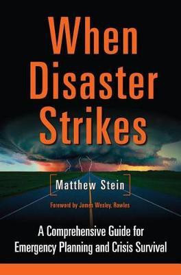 When Disaster Strikes(English, Electronic book text, Stein Matthew)