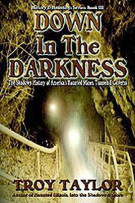 Down in the Darkness(English, Paperback, Taylor Troy)