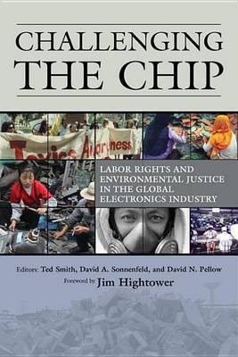 Challenging the Chip(English, Electronic book text, unknown)