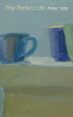 The Perfect Life(English, Paperback, Stitt Peter)