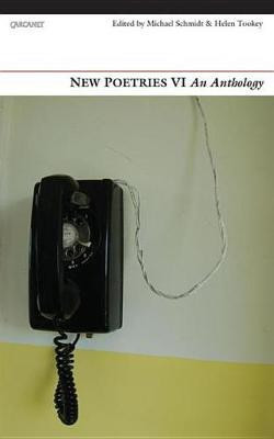 New Poetries VI(English, Electronic book text, unknown)