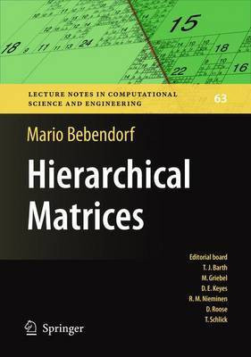 Hierarchical Matrices(English, Electronic book text, Bebendorf Mario)