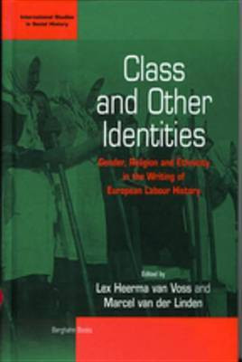 Class and Other Identities(English, Electronic book text, unknown)