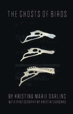 The Ghosts of Birds(English, Paperback, Darling Kristina Marie)