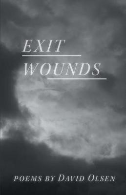 Exit Wounds(English, Paperback, Olsen David)