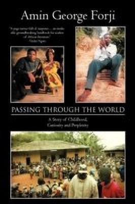 Passing Through the World(English, Paperback, Forji Amin George)